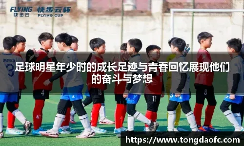 他的持